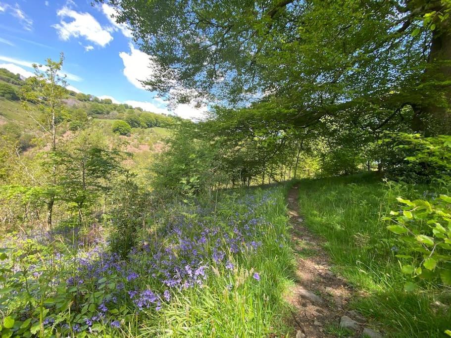 The Crest Hillside Retreat With Hot Tub Villa Abertillery Eksteriør bilde